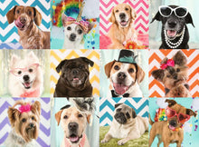 Doggy Disguise - 100 XXL Piece Jigsaw Puzzle By Ravensburger