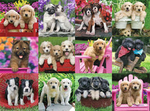 Puppy Pals - 500 pc Jigsaw Puzzle By Ravensburger