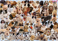 Dogs Galore! - 1000 pc Jigsaw Puzzle By Ravensburger