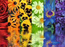 Floral Reflections- 500 pc Jigsaw Puzzle By Ravensburger
