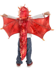 Princess Paradise Liam the Hooded Dragon Costume