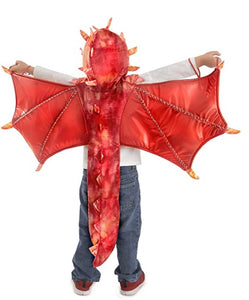 Princess Paradise Liam the Hooded Dragon Costume