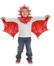 Princess Paradise Liam the Hooded Dragon Costume