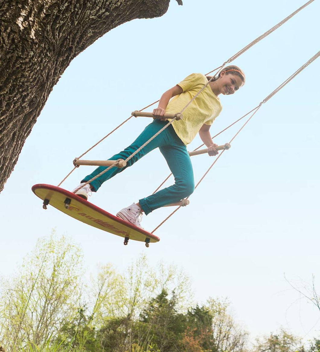 Air Rider Surf Swing