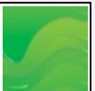 OOBLECK
