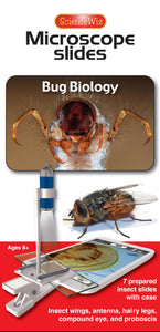 Microscope Slides: Bug Biology