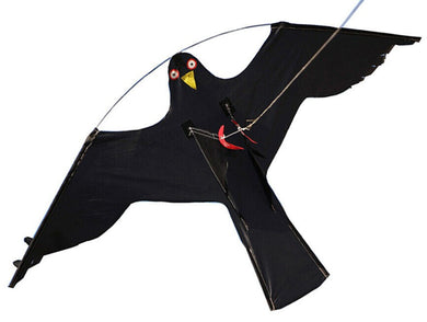 Blackhawk Kite