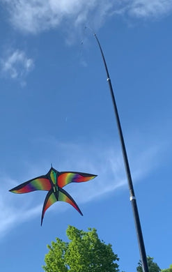 YardKite with Rainbow Bird