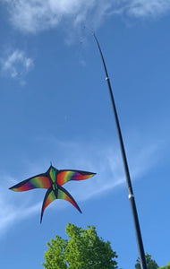 YardKite with Rainbow Bird