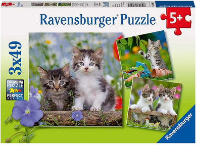 Cuddly Kittens  - 49 Piece Jigsaw Puzzles (3 Pack) By Ravensburger