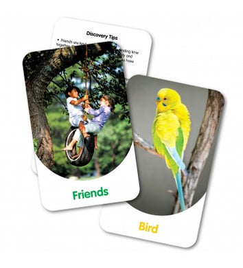 The Learning Journey Intl.  Discover Cards  In and Around