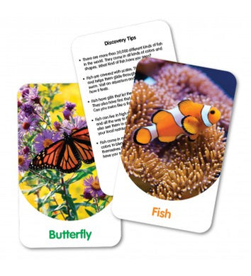 The Learning Journey Intl.  Discover Cards Out and About