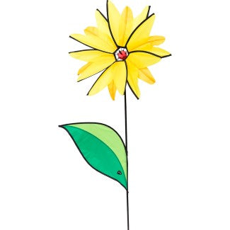 Magic Wheel Hibiscus Flower