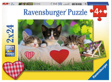 Sleepy Kittens  - 24 Piece Jigsaw Puzzles (2 Pack) By Ravensburger
