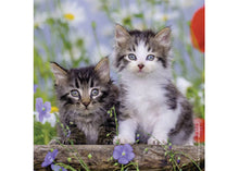 Cuddly Kittens  - 49 Piece Jigsaw Puzzles (3 Pack) By Ravensburger