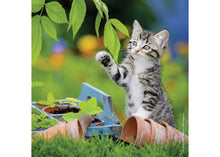 Cuddly Kittens  - 49 Piece Jigsaw Puzzles (3 Pack) By Ravensburger