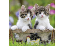 Cuddly Kittens  - 49 Piece Jigsaw Puzzles (3 Pack) By Ravensburger