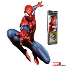Marvel Spider Man Augmented Reality Wall Decal
