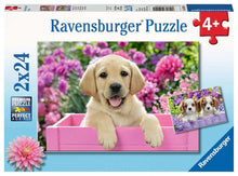 Me and My Puppy Pal  - 24 Piece Jigsaw Puzzles (2 Pack) By Ravensburger