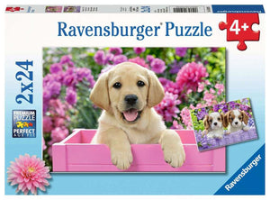 Me and My Puppy Pal  - 24 Piece Jigsaw Puzzles (2 Pack) By Ravensburger